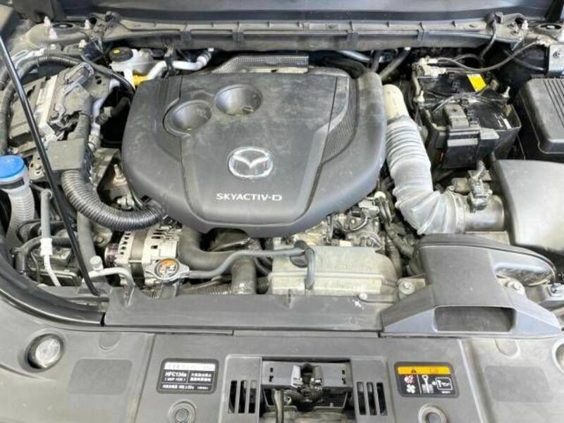 CX-5-17