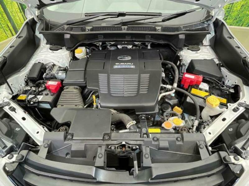 FORESTER-16