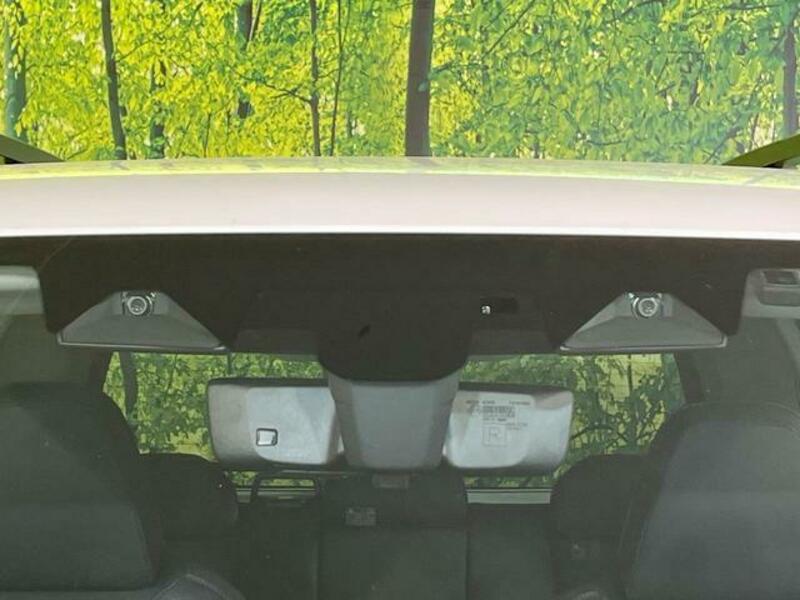 FORESTER-2