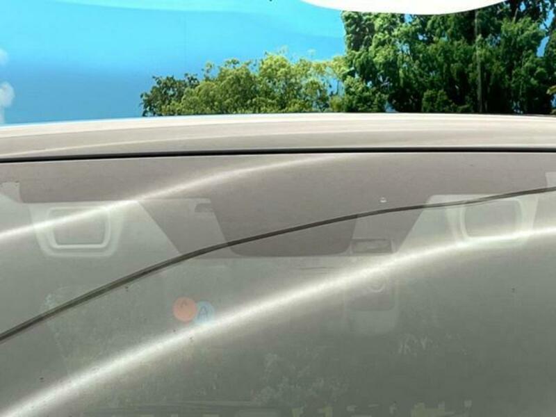FORESTER-2