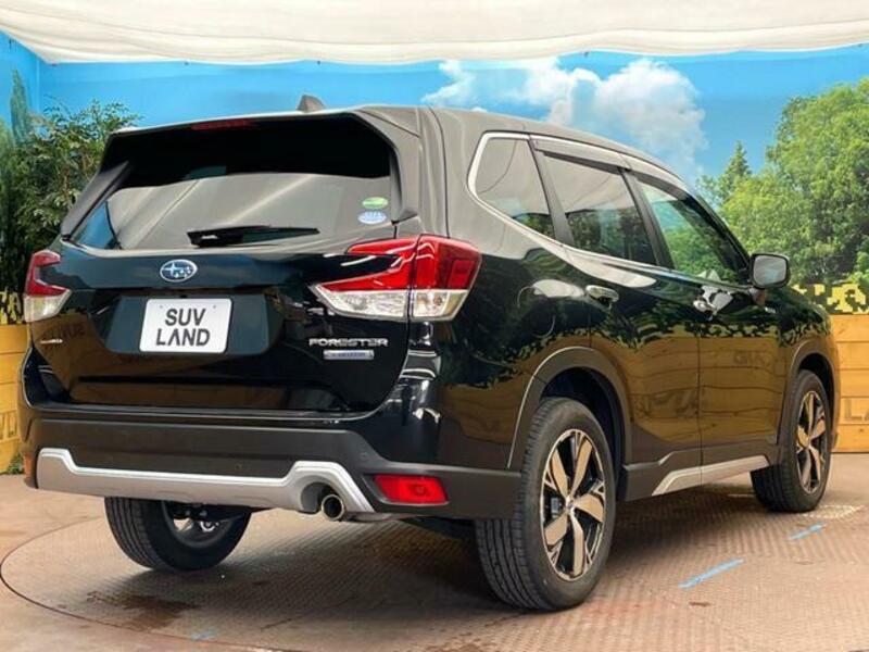 FORESTER-17