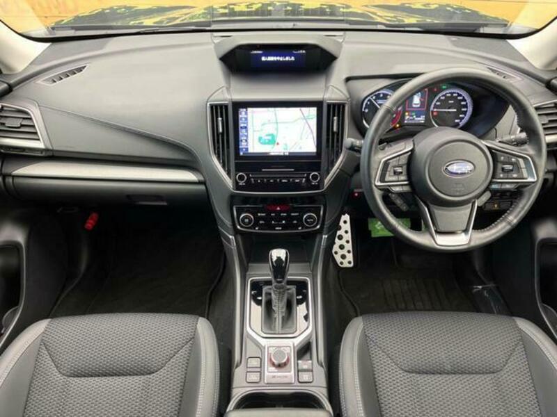 FORESTER-1