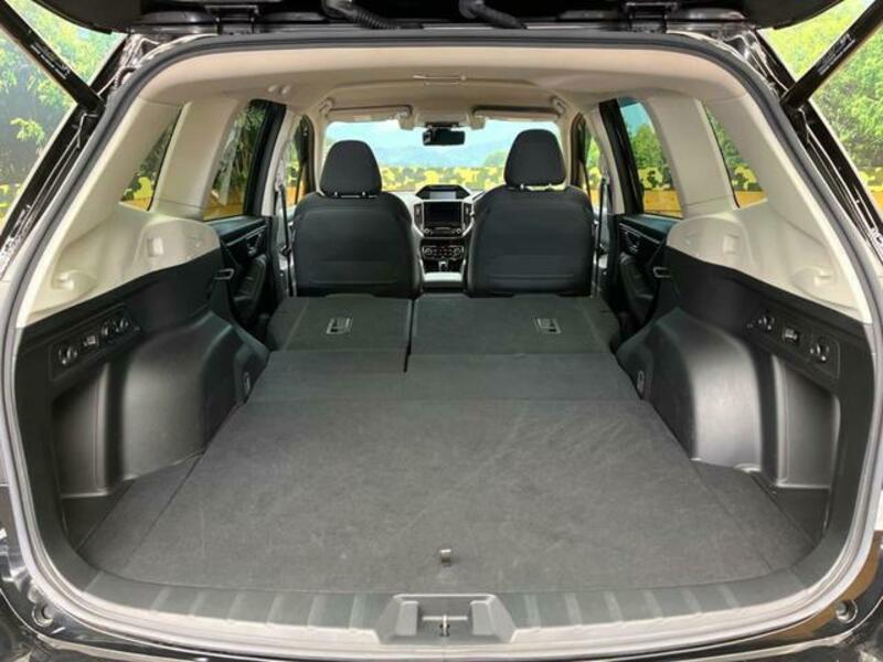 FORESTER-10