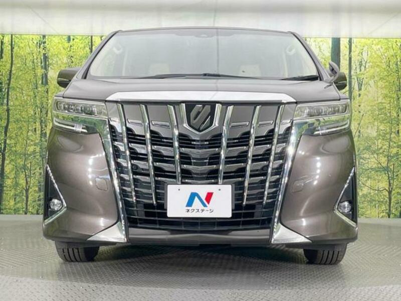 ALPHARD-6