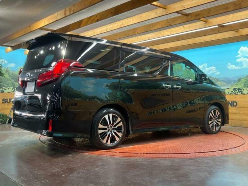 ALPHARD-16