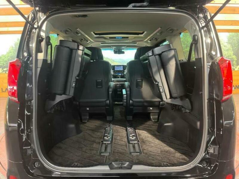 ALPHARD-10
