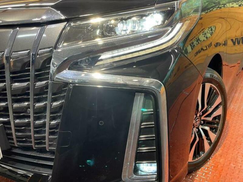 ALPHARD-12
