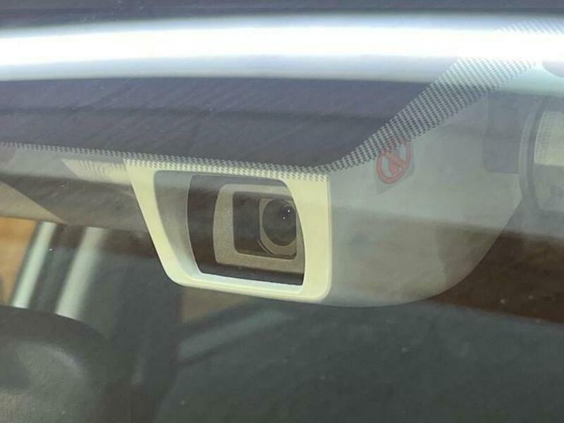 FORESTER-4