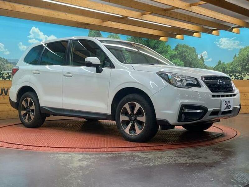 FORESTER-15