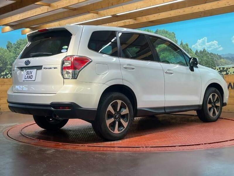 FORESTER-16