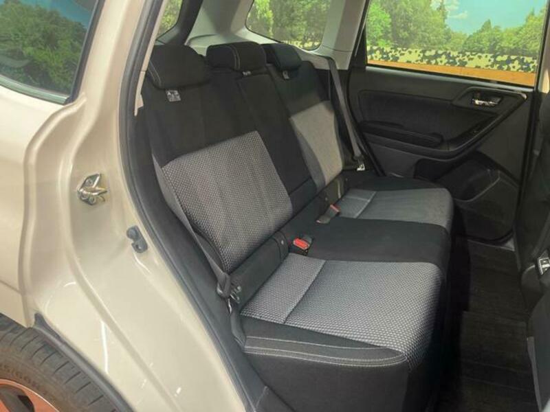 FORESTER-8