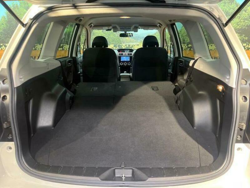 FORESTER-9