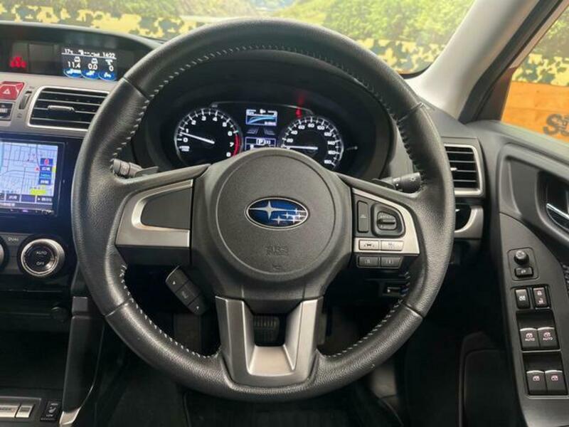 FORESTER-10