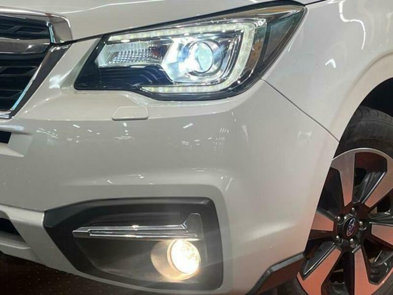 FORESTER-11