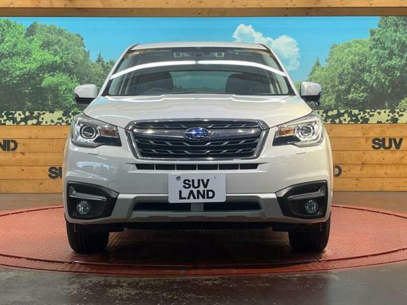 FORESTER-13