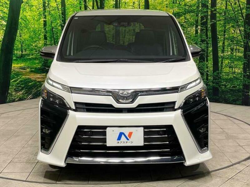 VOXY-13