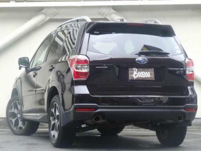 FORESTER-4