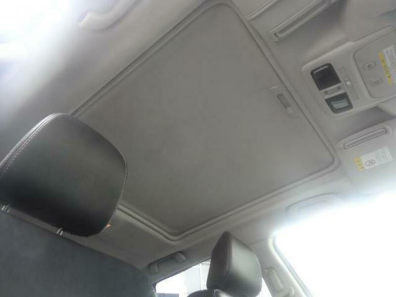 FORESTER-19