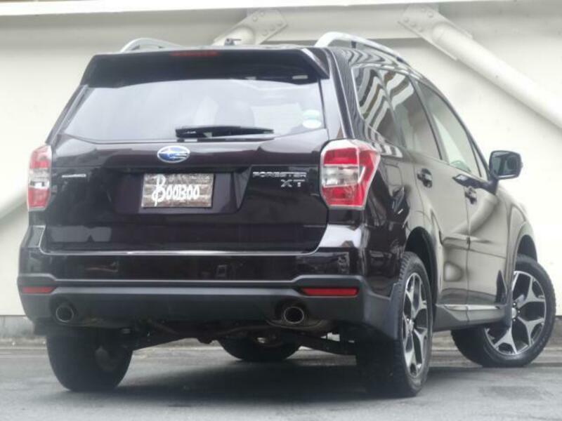 FORESTER-1