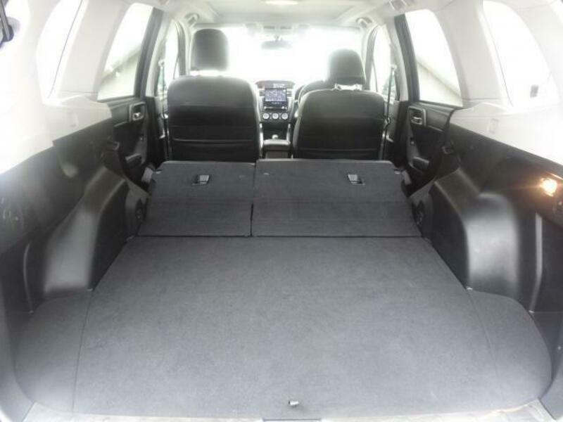 FORESTER-11