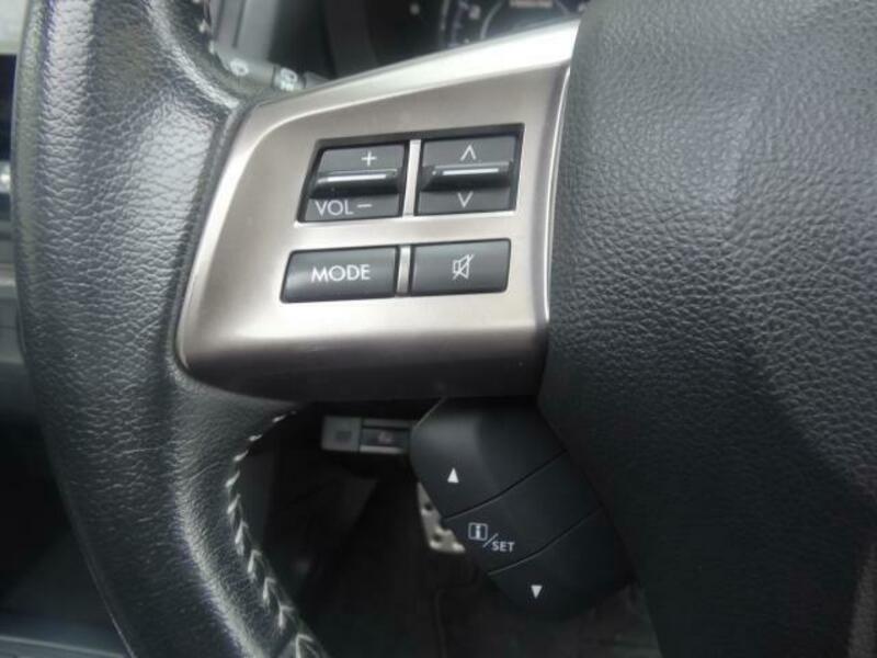 FORESTER-13