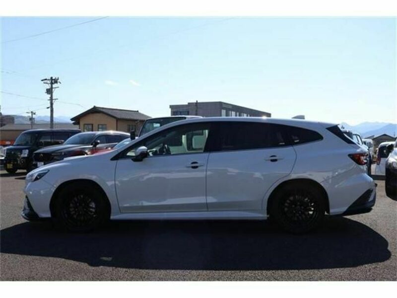 LEVORG
