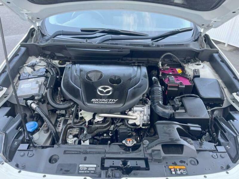 CX-3-17