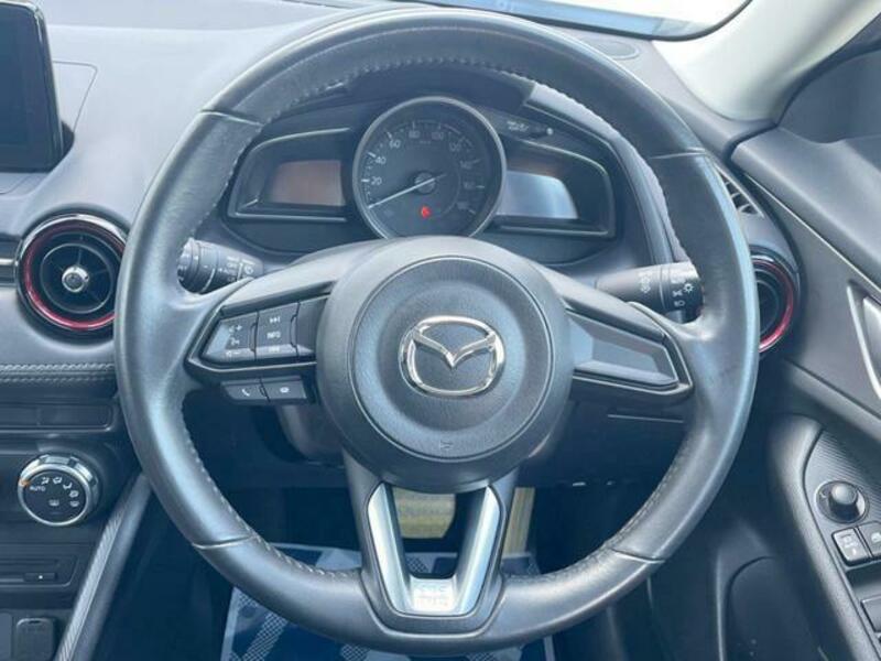 CX-3-10