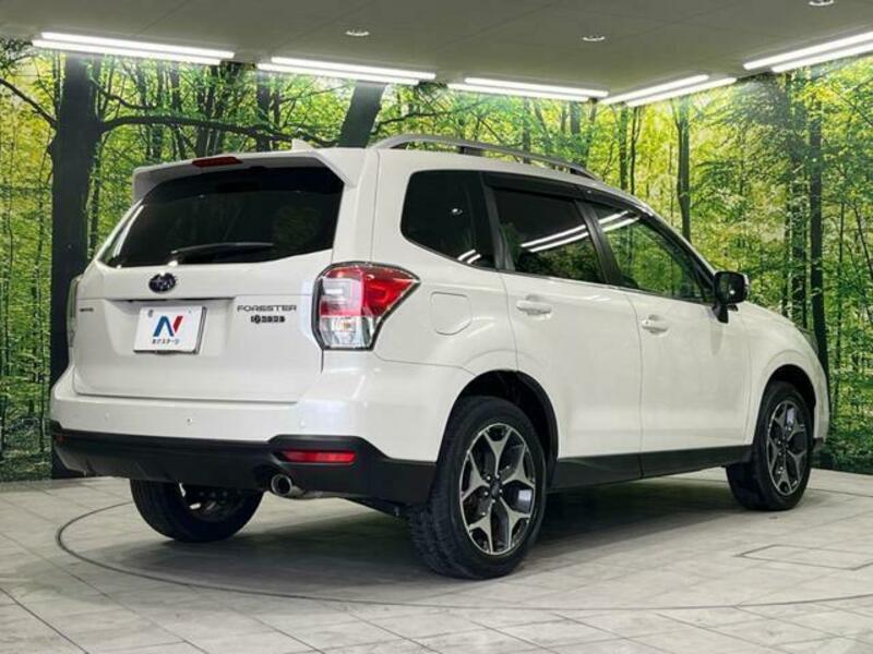 FORESTER-17