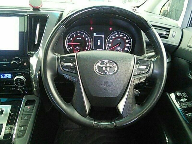 ALPHARD-7