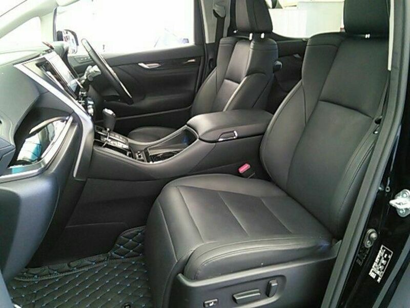 ALPHARD-10