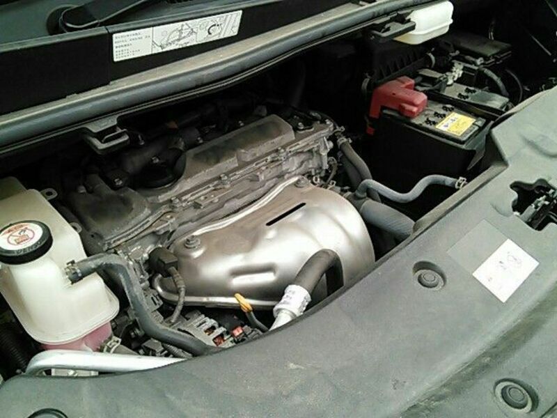 ALPHARD-14