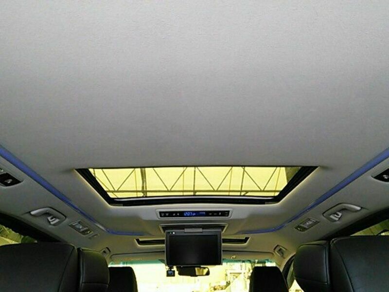 ALPHARD-16