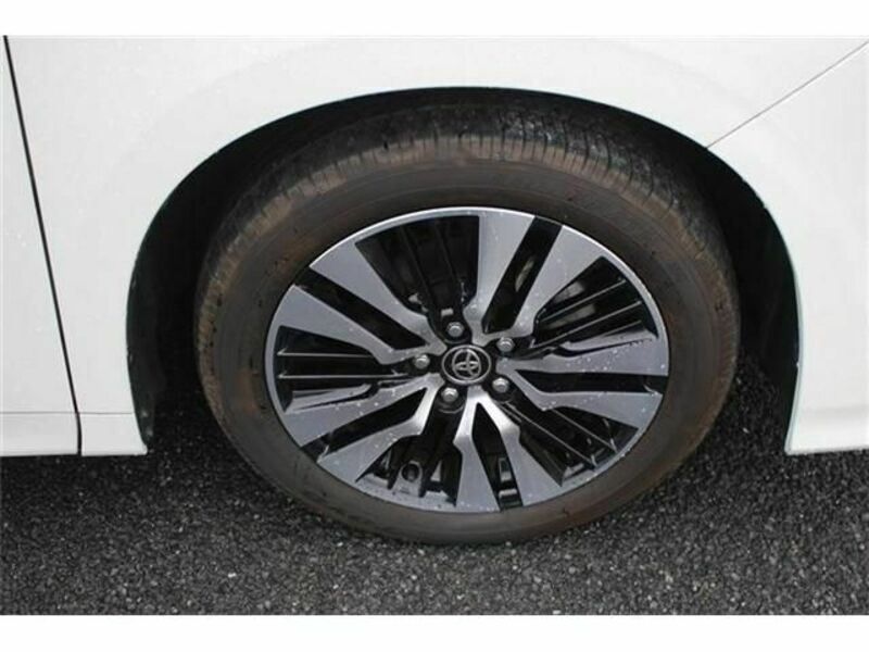 ALPHARD-10