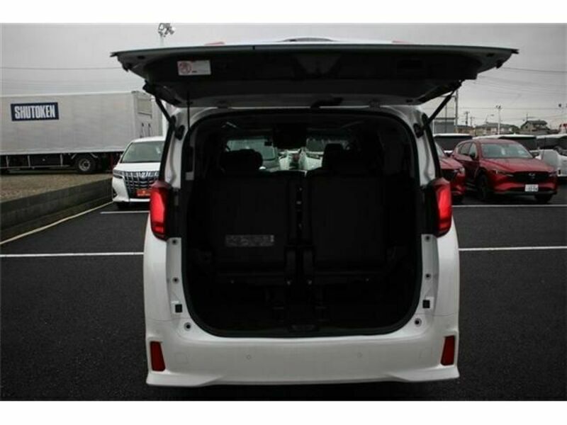 ALPHARD-16