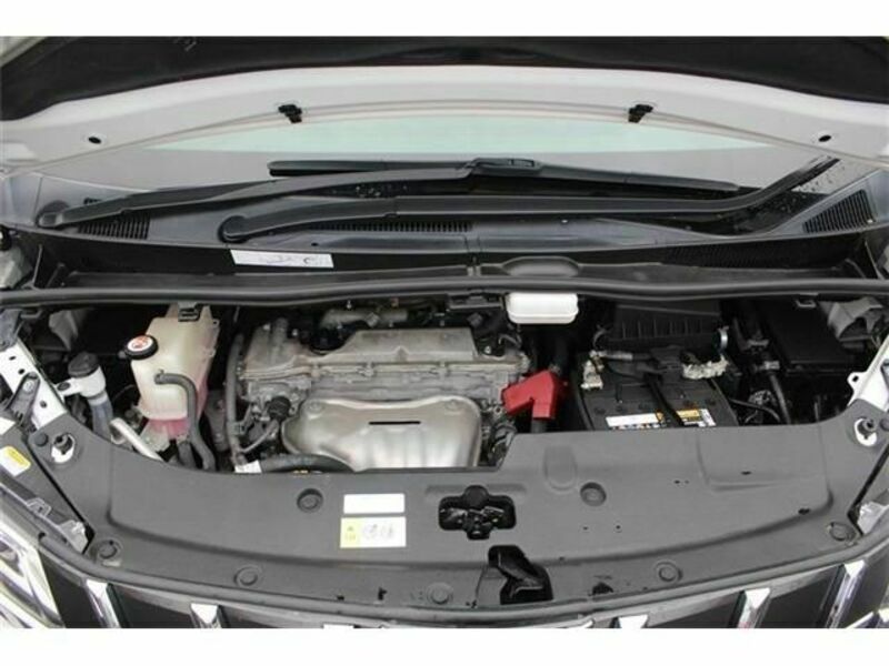 ALPHARD-17