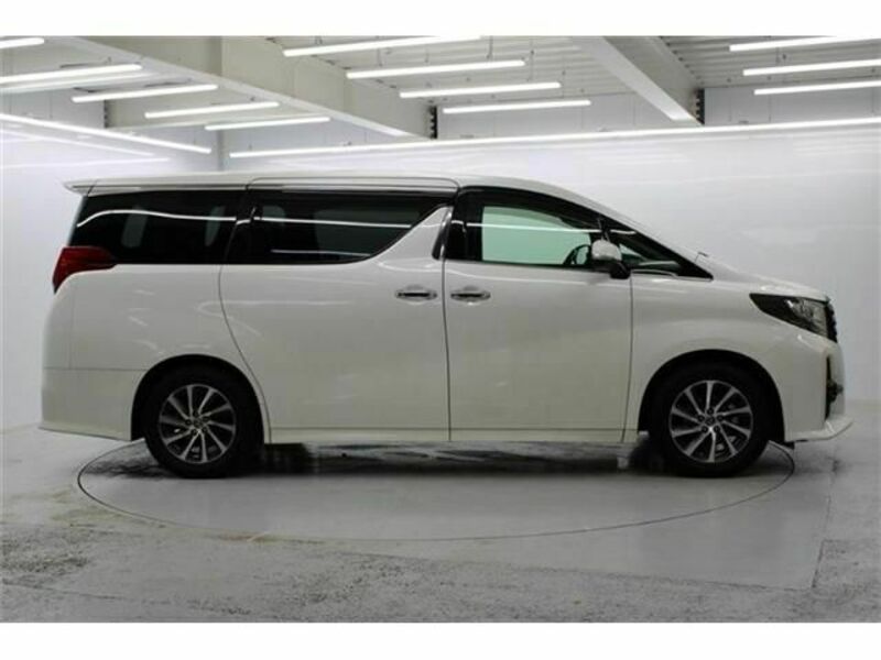 ALPHARD-6