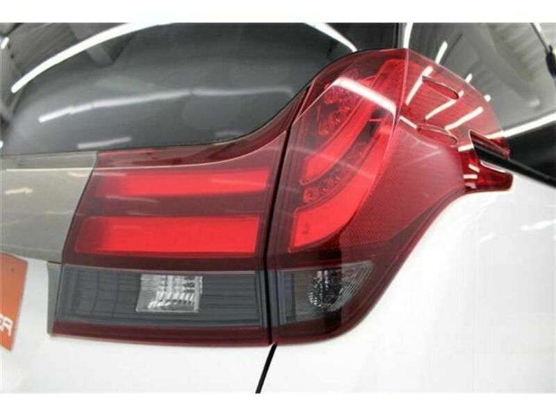 ALPHARD-10