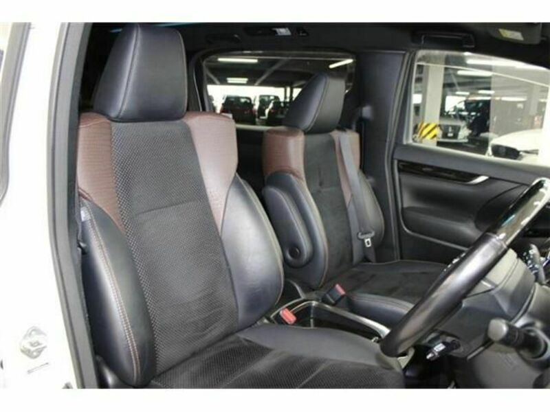 ALPHARD-12