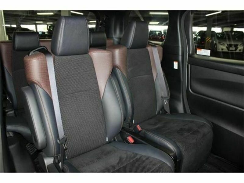ALPHARD-13