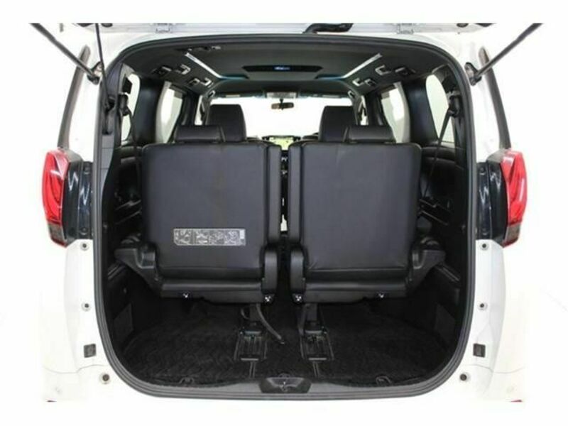 ALPHARD-17