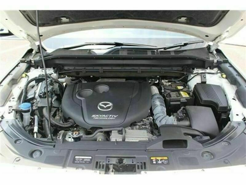 CX-8