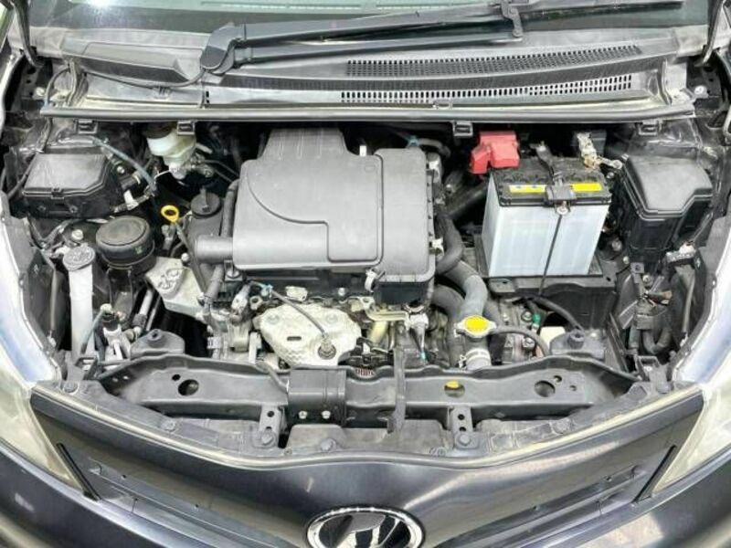 VITZ