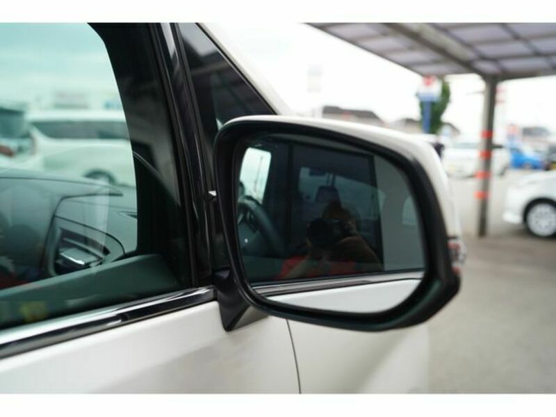 ALPHARD-6