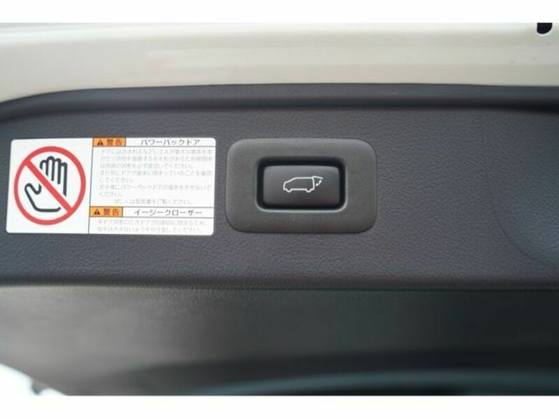 ALPHARD-10