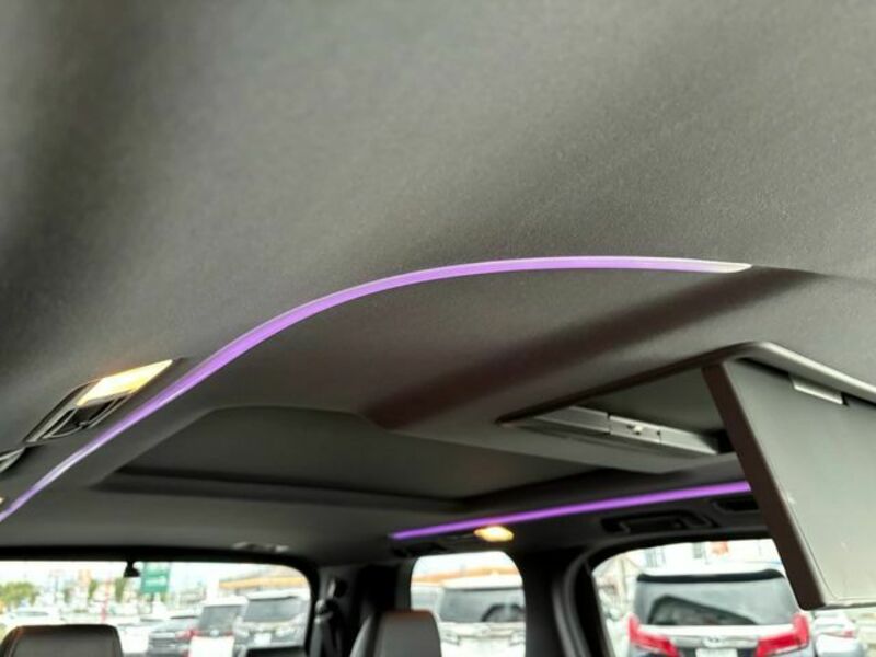 ALPHARD-12