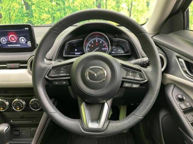 CX-3-10