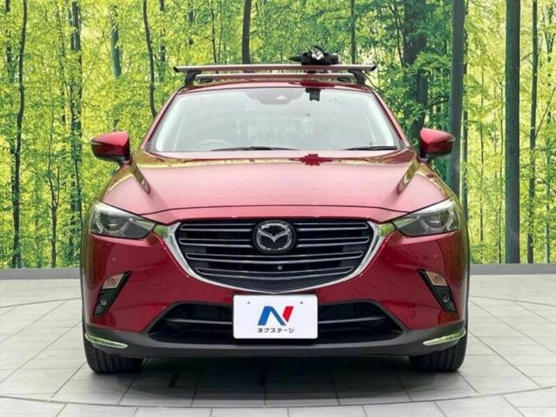 CX-3-13