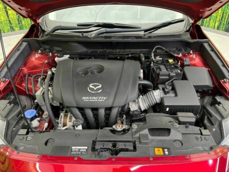 CX-3-17