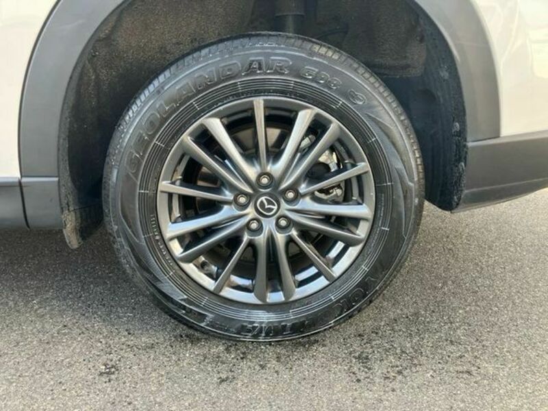 CX-8